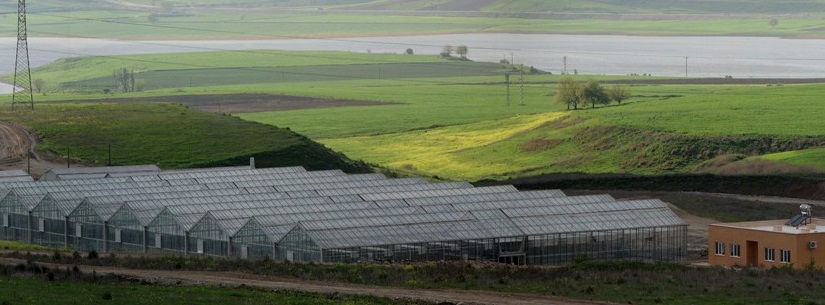 BAHÇE BİTKİLERİ BÖLÜMÜ